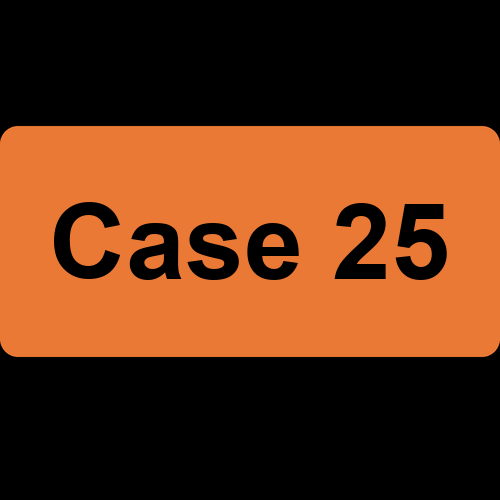 Case 25